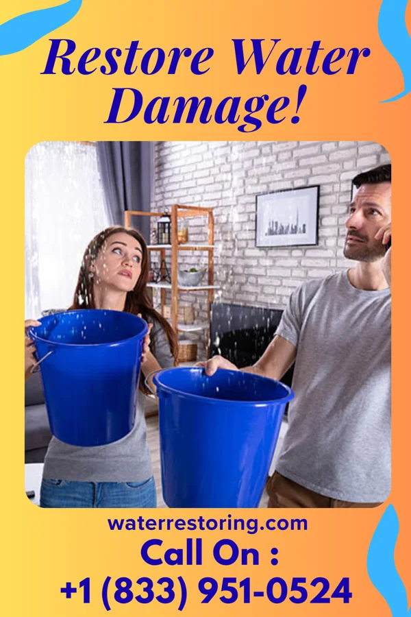 water restoration Expert Water Damage Group Craigsville